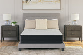 Diamond Furniture - Ashley Furniture - Palisades Firm King Mattress - King - M41541